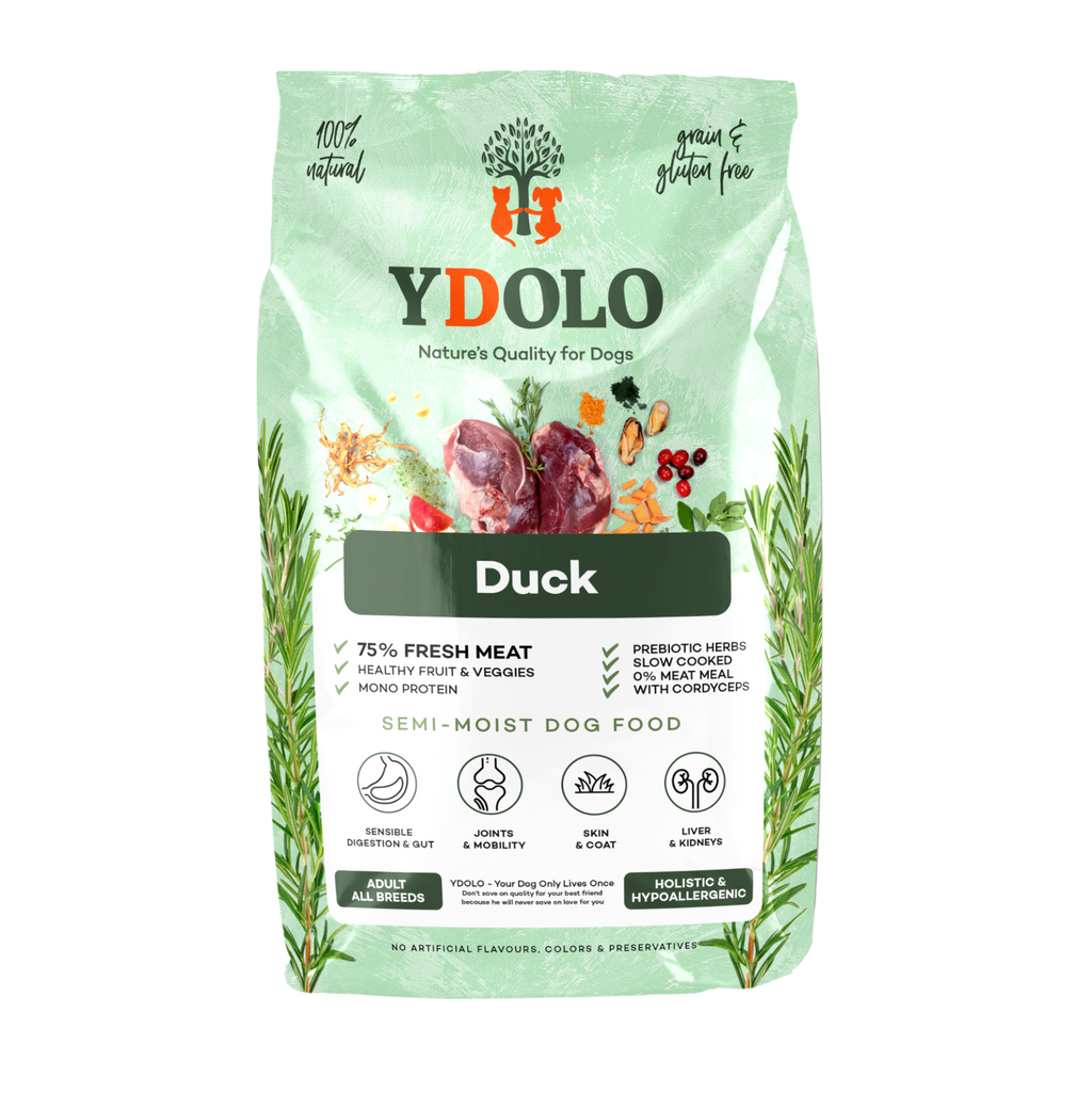 Ydolo Healty & Pure Duck 2,5 kg