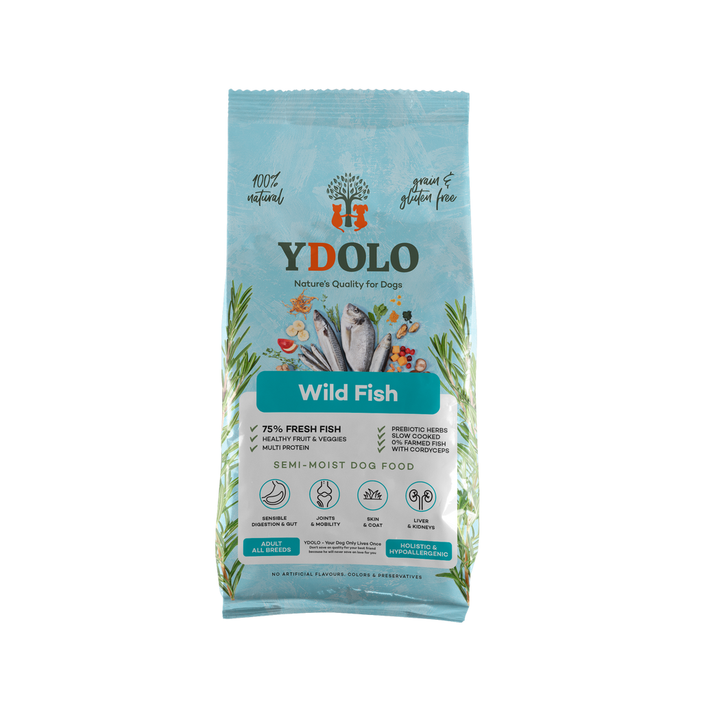 Ydolo Healty & pure Wild Fish 10 kg