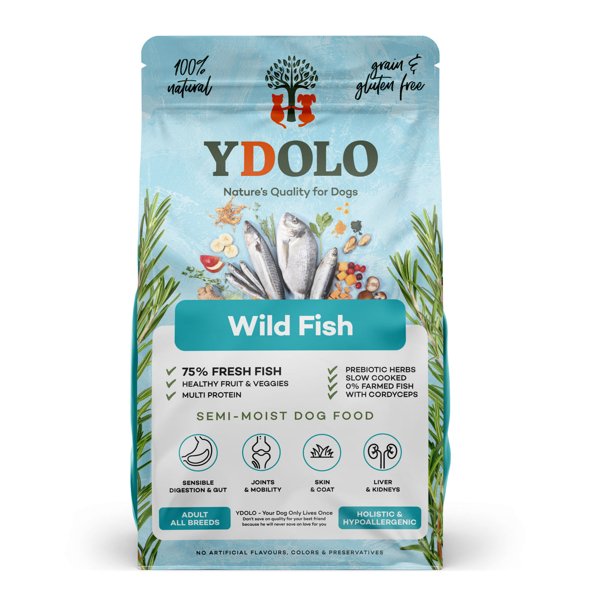 Ydolo Healty & pure Wild Fish 2,5 kg