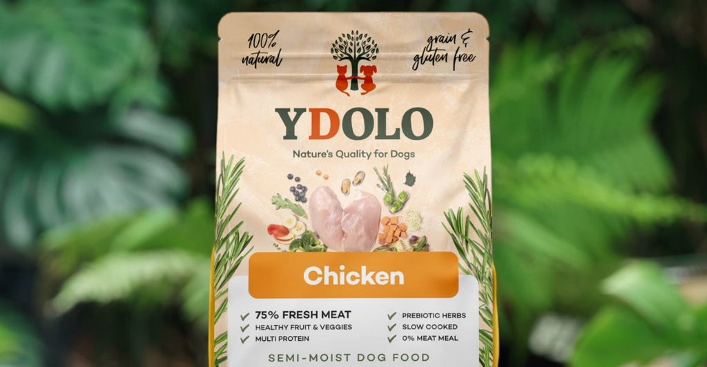 Ydolo Healty & Pure Chicken 2,5 kg