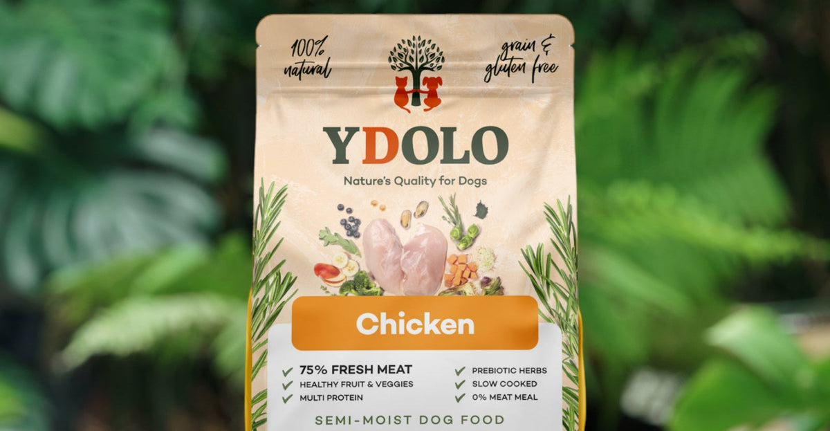 Ydolo Healty & Pure Chicken 2,5 kg