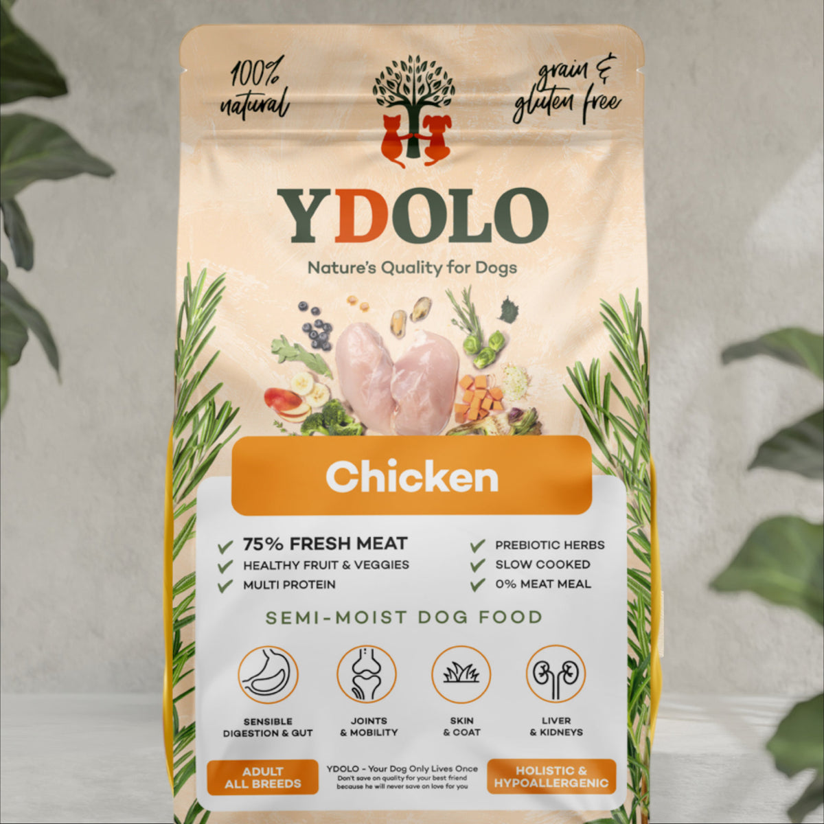 Ydolo Healty & Pure Chicken 2,5 kg