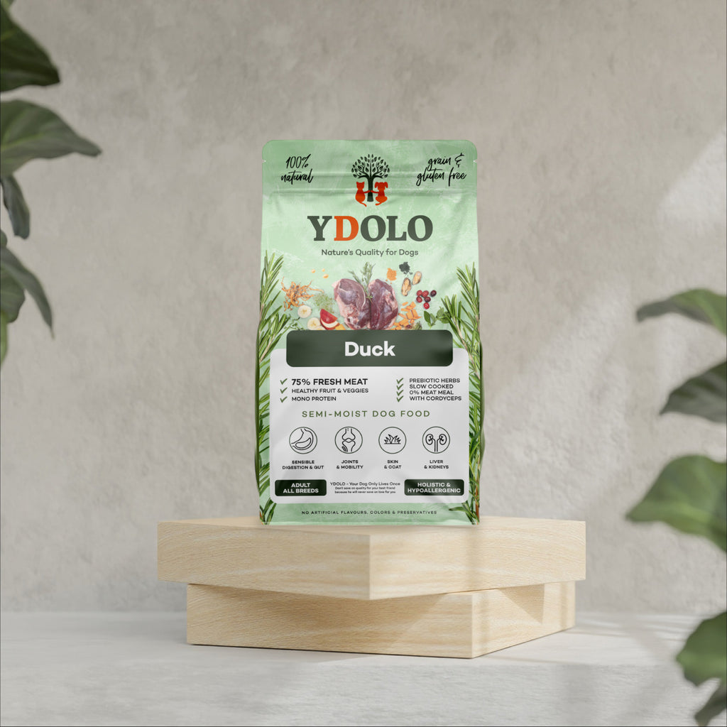 Ydolo Healty & Pure Duck 10 kg